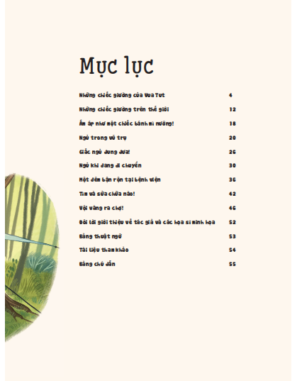 những bí ẩn của màn đêm - những chiếc giường trên thế giới