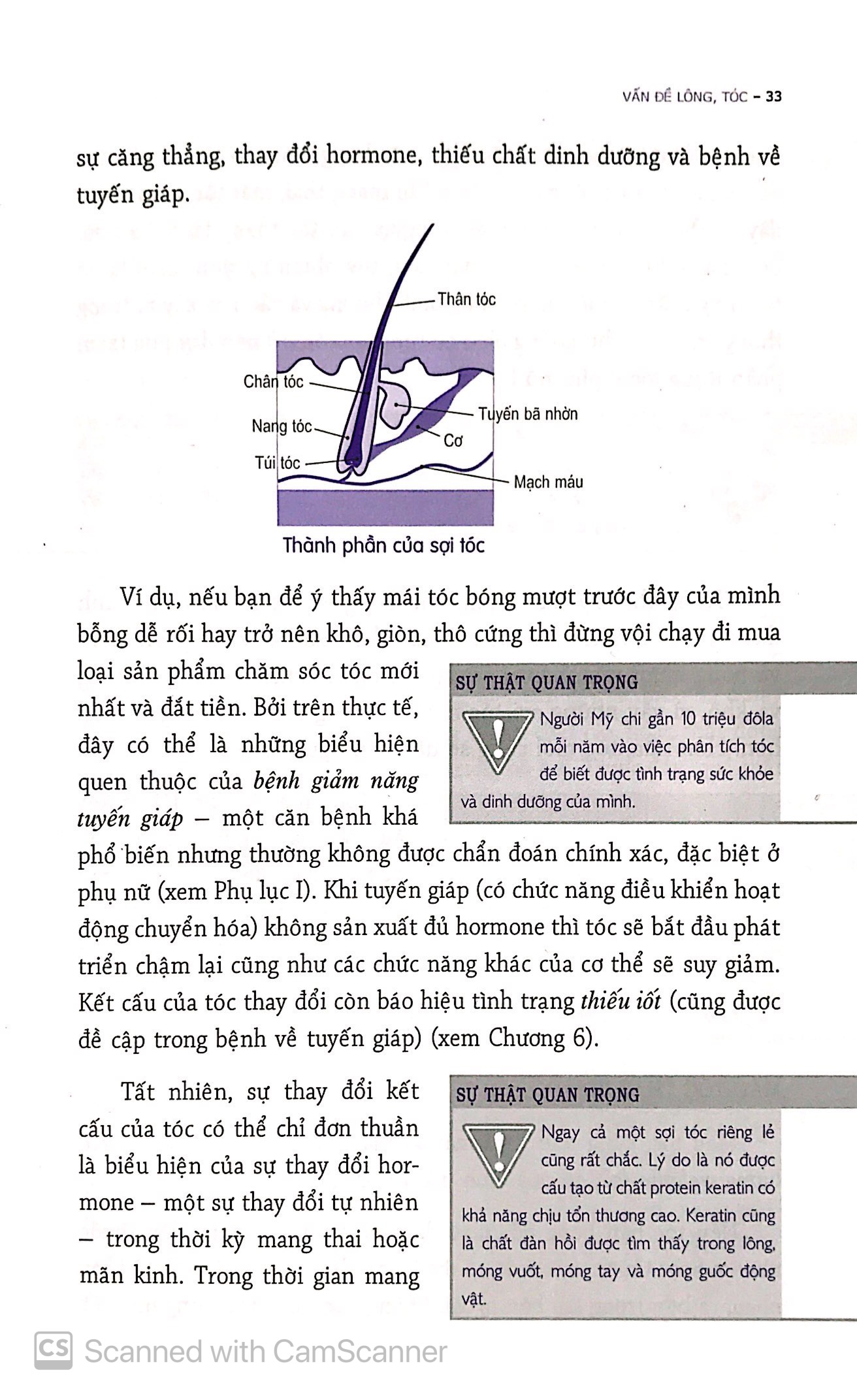 những biểu hiện của cơ thể