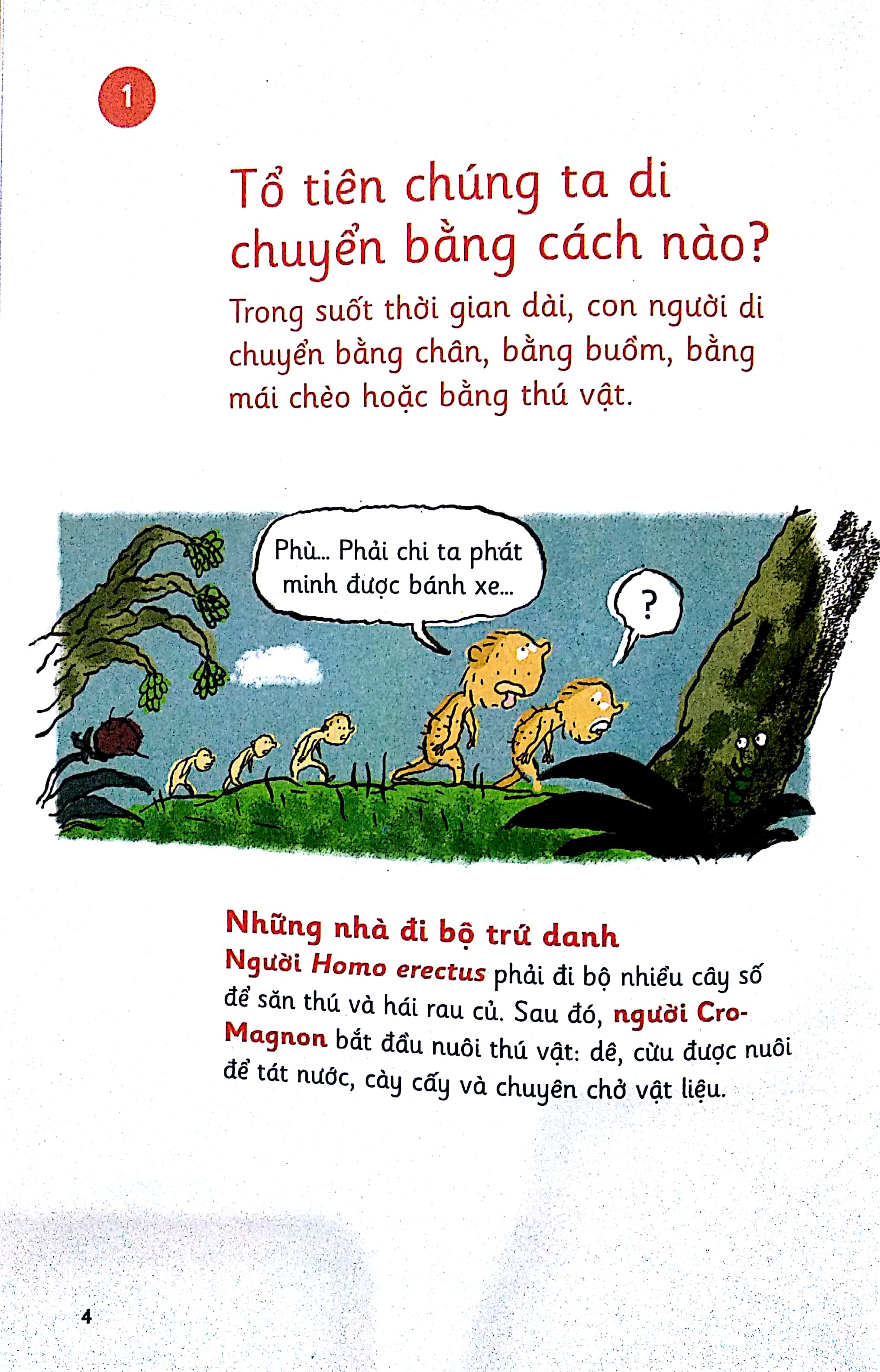 những bước đi nhỏ - phương tiện vận chuyển