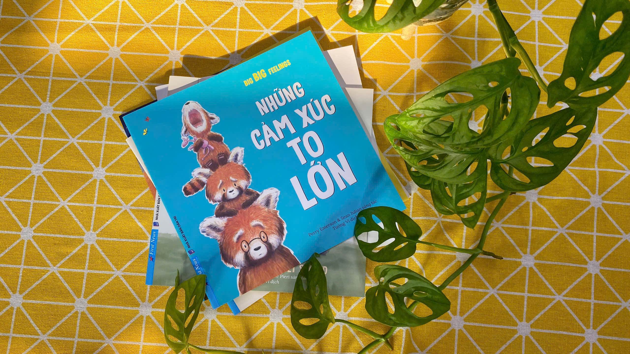 những cảm xúc to lớn - big big feeling