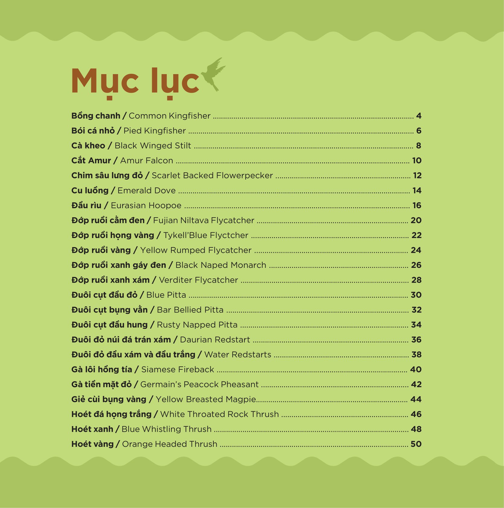 Những Cánh Chim Hoang Dã - 45 Loài Chim Đẹp Việt Nam