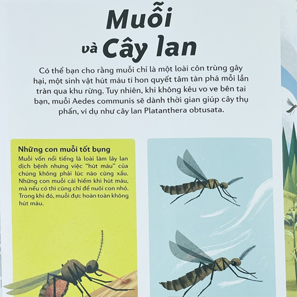 những cặp bài trùng trong thế giới động vật - mối quan hệ cộng sinh thú vị trong thế giới động thực vật