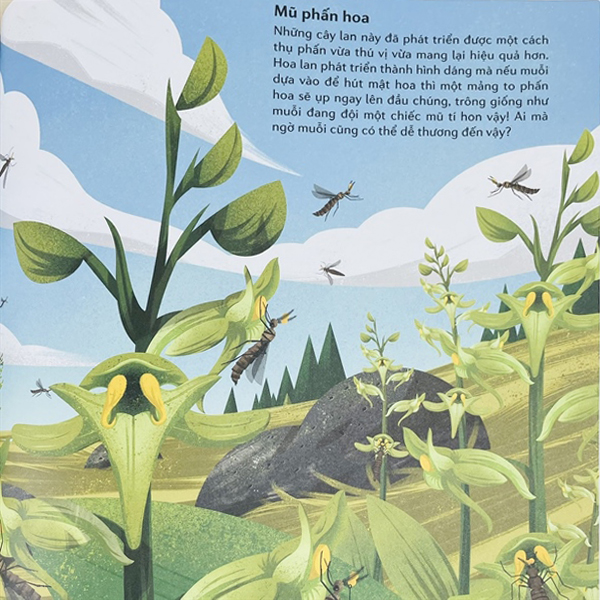 những cặp bài trùng trong thế giới động vật - mối quan hệ cộng sinh thú vị trong thế giới động thực vật