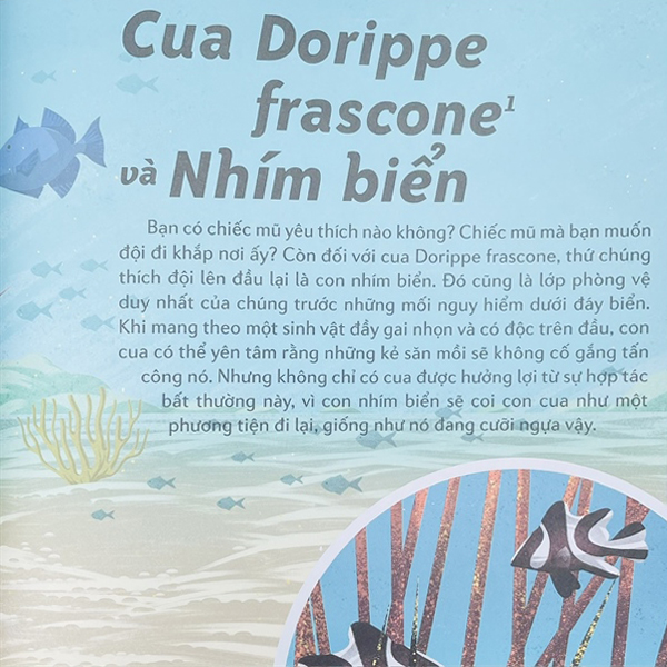 những cặp bài trùng trong thế giới động vật - mối quan hệ cộng sinh thú vị trong thế giới động thực vật