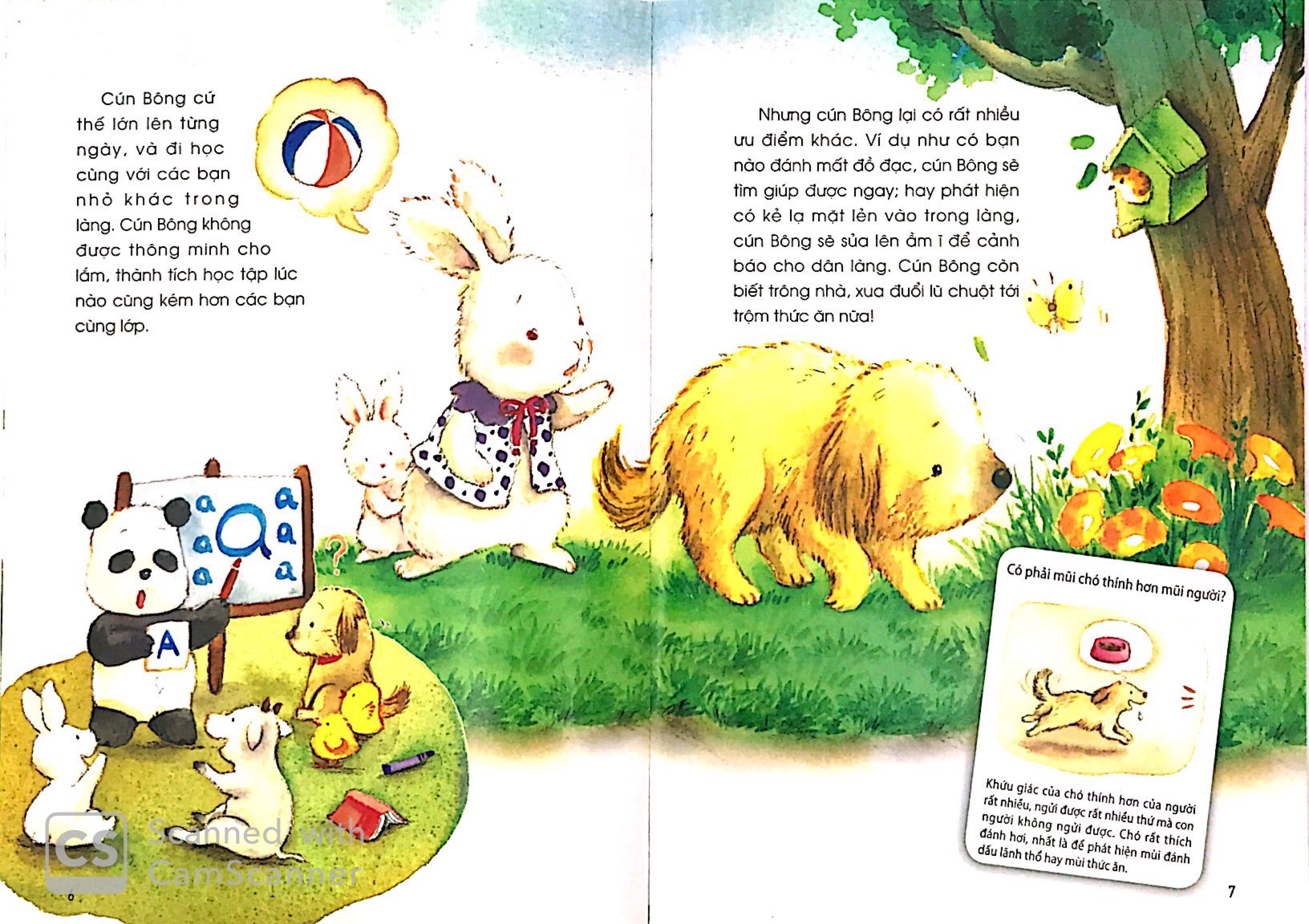 những câu chuyện thú vị về động vật - chiếc mũi thám tử