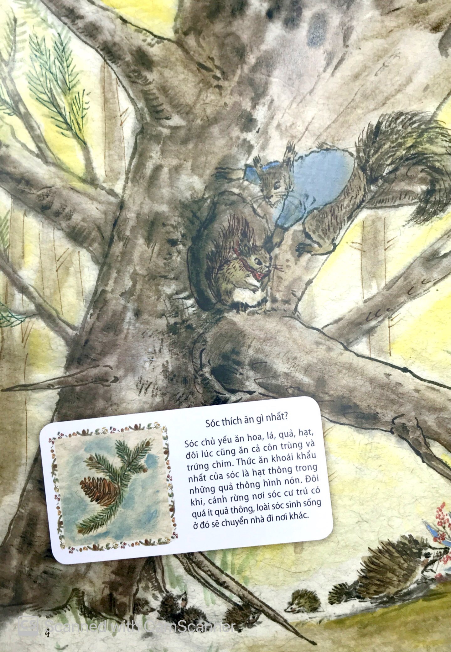 những câu chuyện thú vị về động vật - kiến trúc sư đại tài