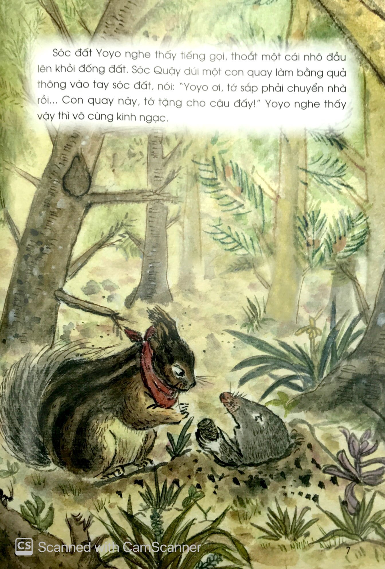 những câu chuyện thú vị về động vật - kiến trúc sư đại tài