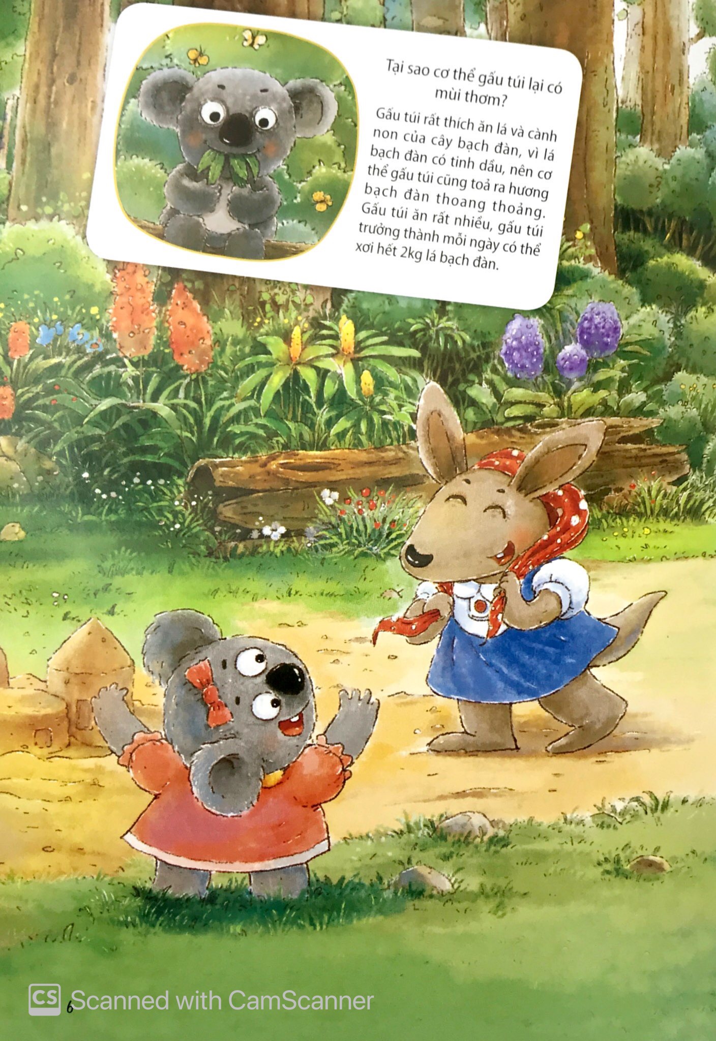 những câu chuyện thú vị về động vật - nàng thơm ko uống nước