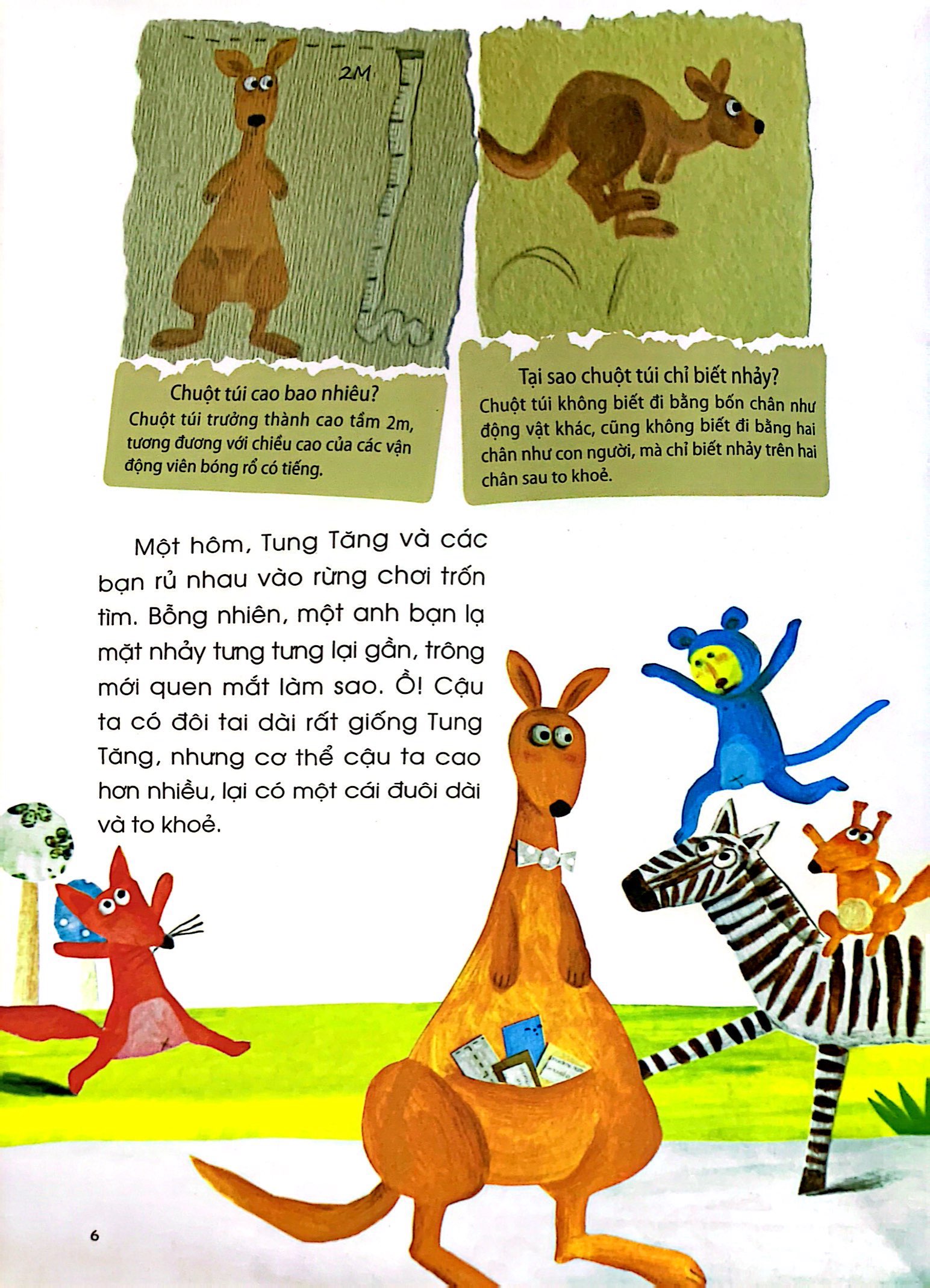 những câu chuyện thú vị về động vật - nhà vô địch không biết đi