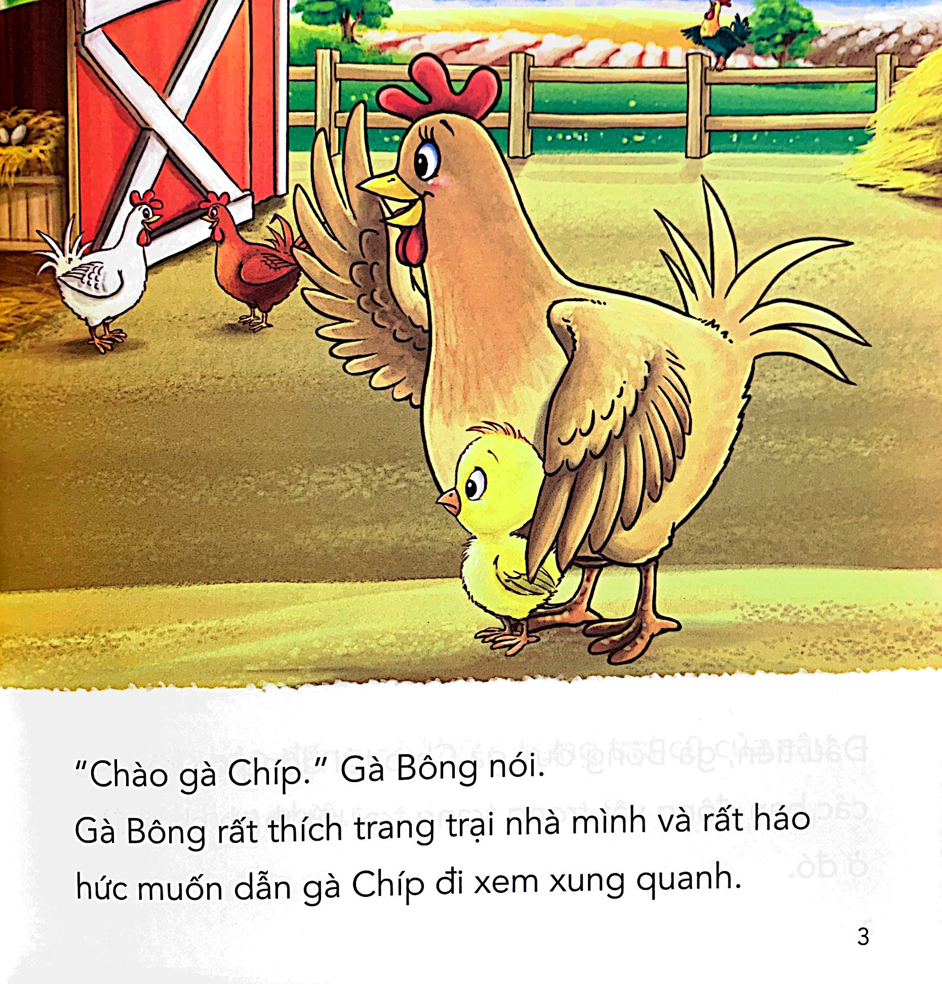 những câu chuyện tình bạn - gà chíp và cừu con