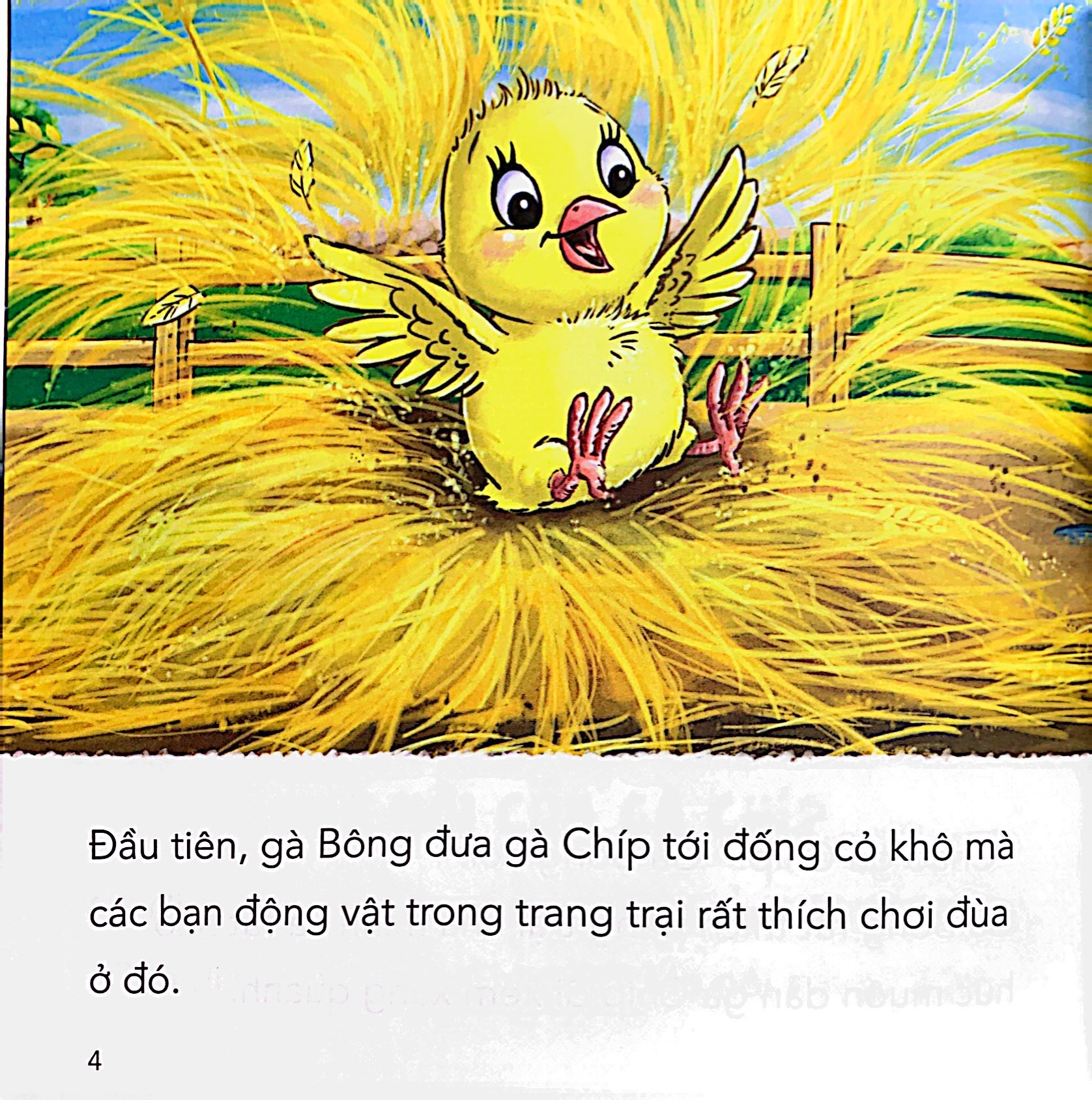 những câu chuyện tình bạn - gà chíp và cừu con