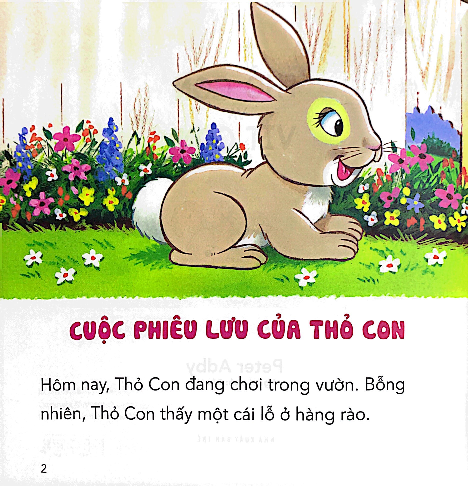 những câu chuyện tình bạn - thỏ con và vịt con