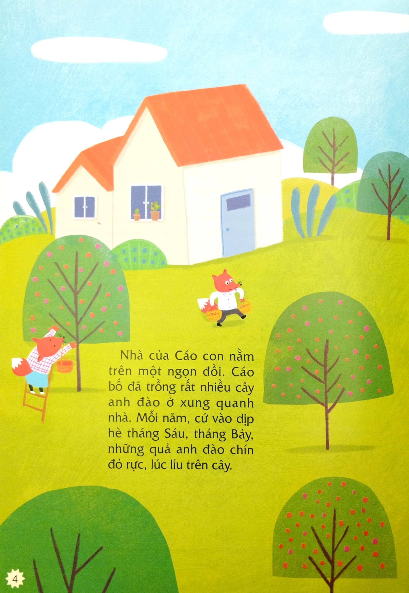 những câu chuyện về kiến thức an toàn trong cuộc sống - lên núi ăn anh đào