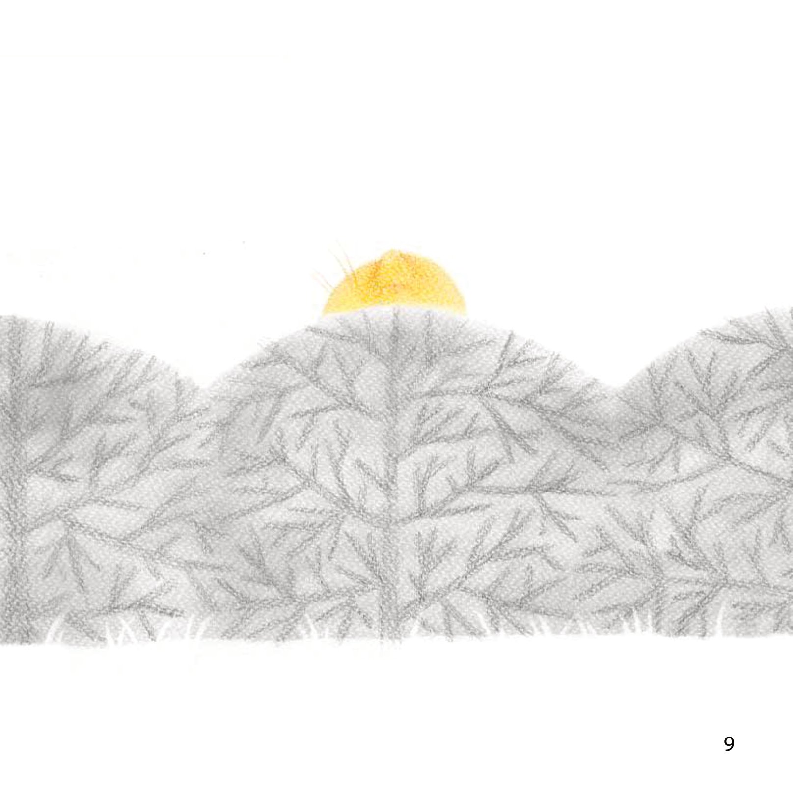 những câu chuyện về lòng tốt - hoa nở từ yêu thương