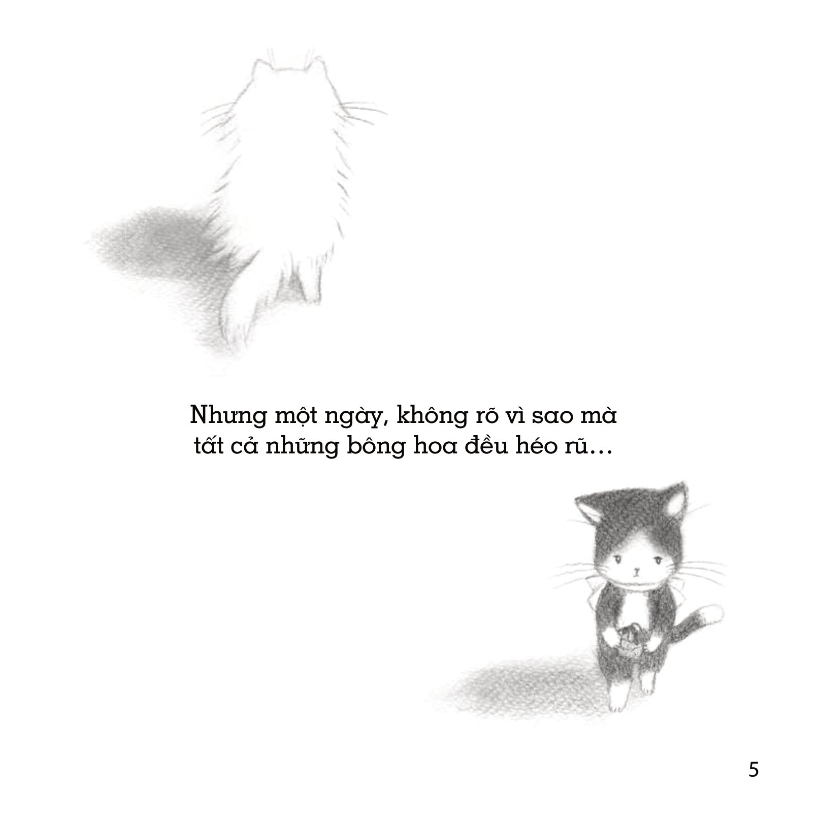 những câu chuyện về lòng tốt - hoa nở từ yêu thương