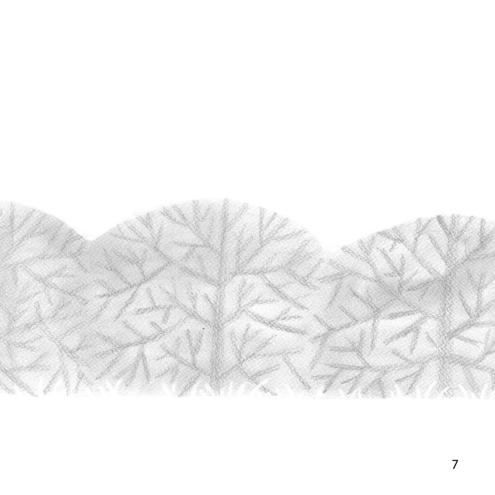 những câu chuyện về lòng tốt - hoa nở từ yêu thương