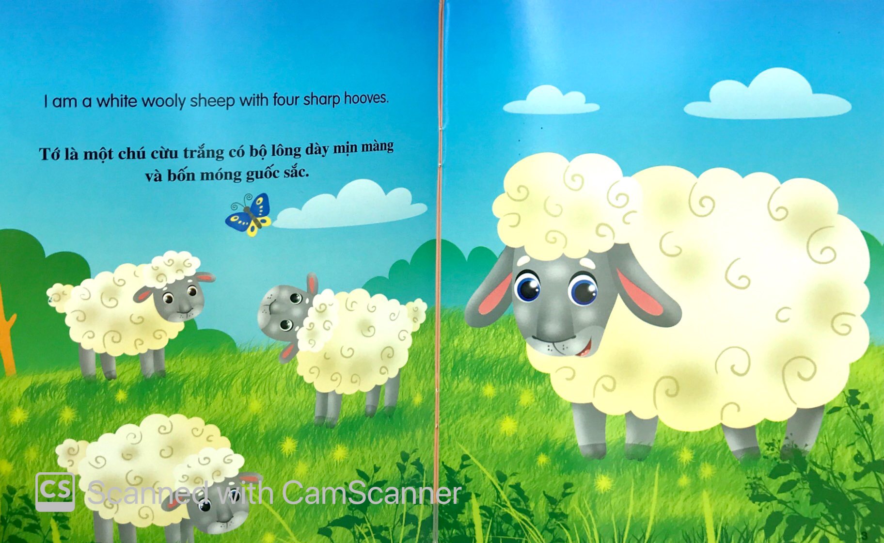 những câu chuyện về thế giới động vật - tớ là một chú cừu - i am a sheep (song ngữ anh - việt)