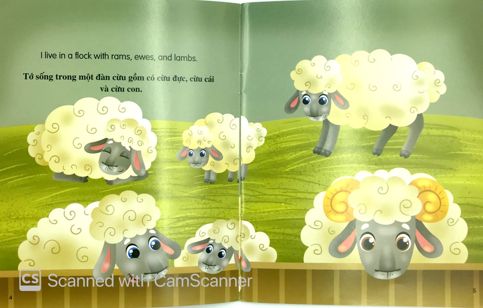những câu chuyện về thế giới động vật - tớ là một chú cừu - i am a sheep (song ngữ anh - việt)