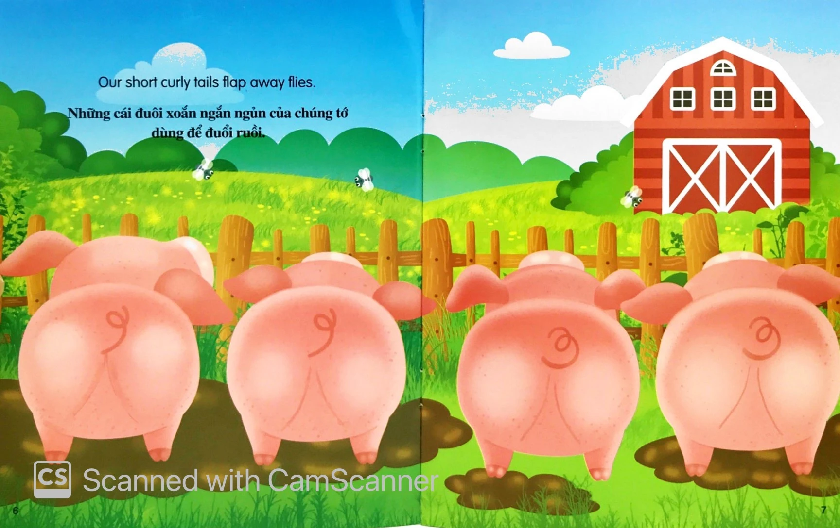 những câu chuyện về thế giới động vật - tớ là một chú lợn - i am a pig (song ngữ anh-việt)