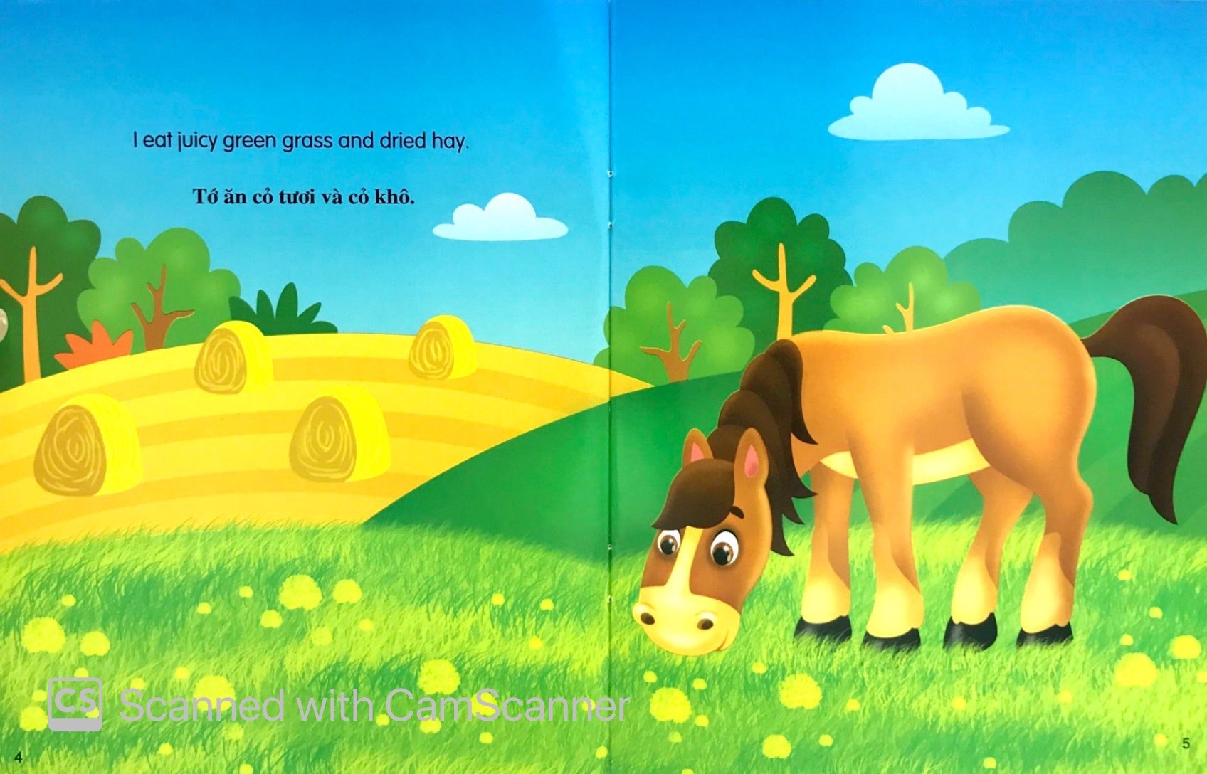 Những Câu Chuyện Về Thế Giới Động Vật - Tớ Là Một Chú Ngựa - I Am A Horse (Song Ngữ Anh-Việt)