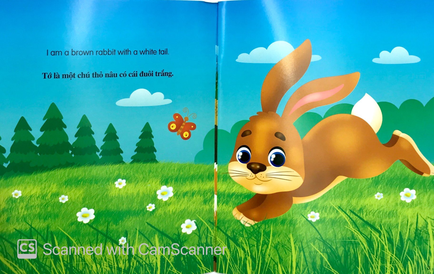 những câu chuyện về thế giới động vật - tớ là một chú thỏ - i am a rabbit (song ngữ anh-việt)