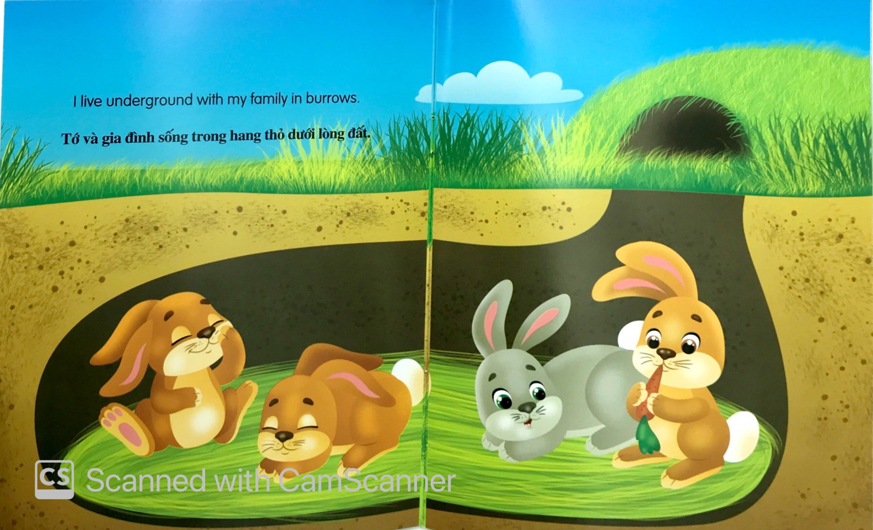 những câu chuyện về thế giới động vật - tớ là một chú thỏ - i am a rabbit (song ngữ anh-việt)