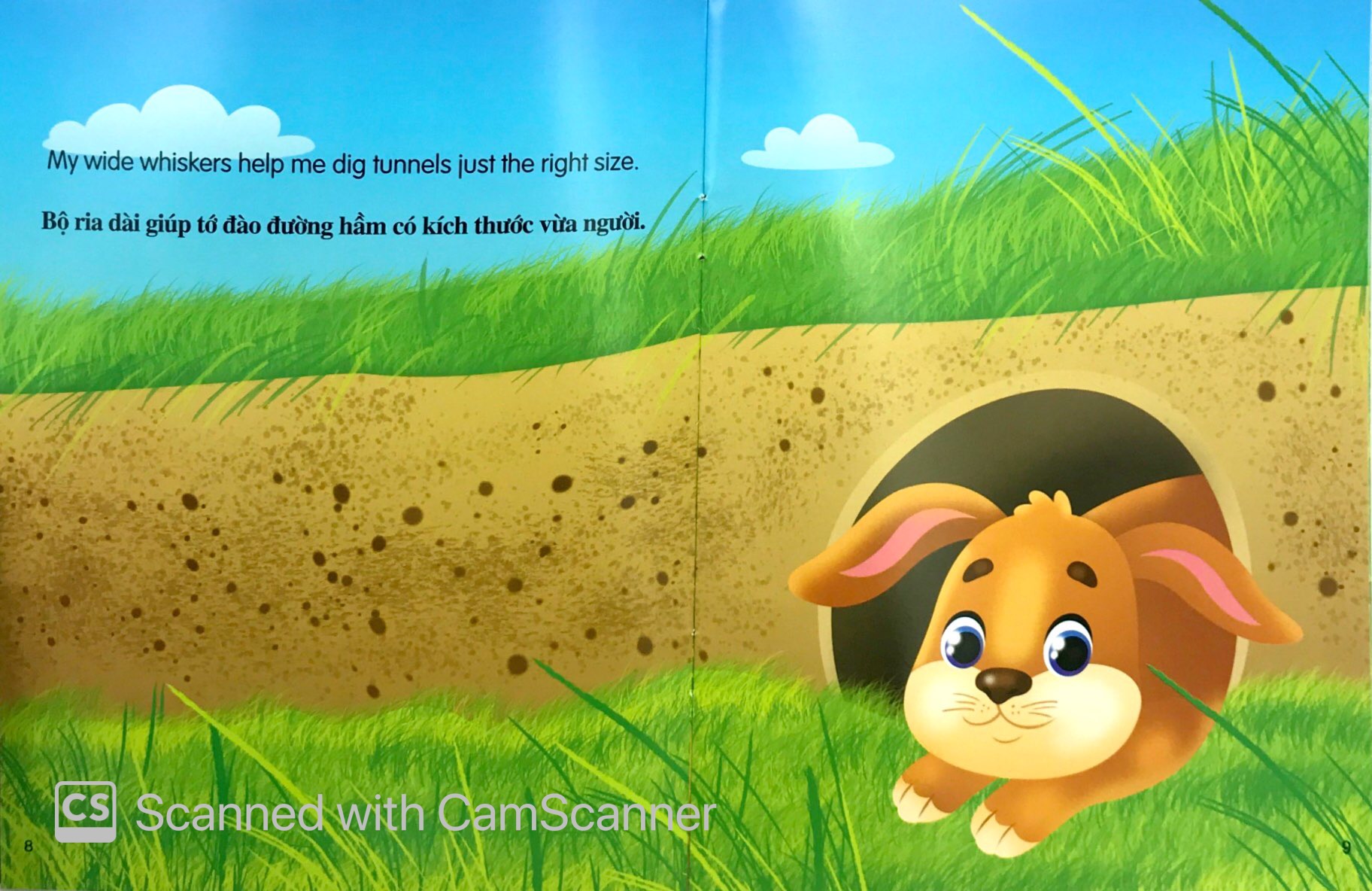 những câu chuyện về thế giới động vật - tớ là một chú thỏ - i am a rabbit (song ngữ anh-việt)