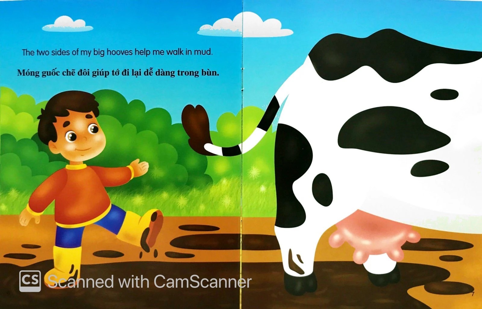 những câu chuyện về thế giới động vật - tớ là một cô bò - i am a cow (song ngữ anh-việt)