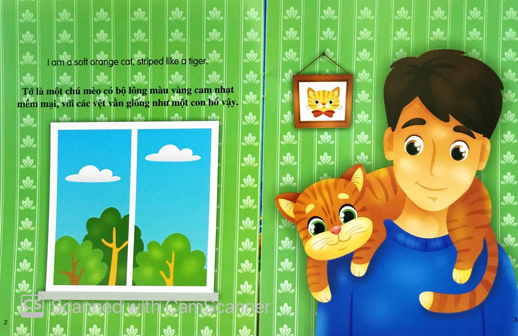 những câu chuyện về thế giới loài vật: tớ là một chú mèo