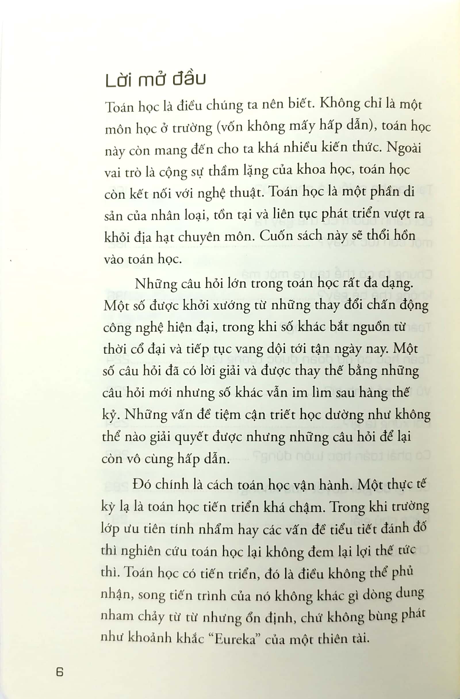 những câu hỏi lớn toán học (tái bản)