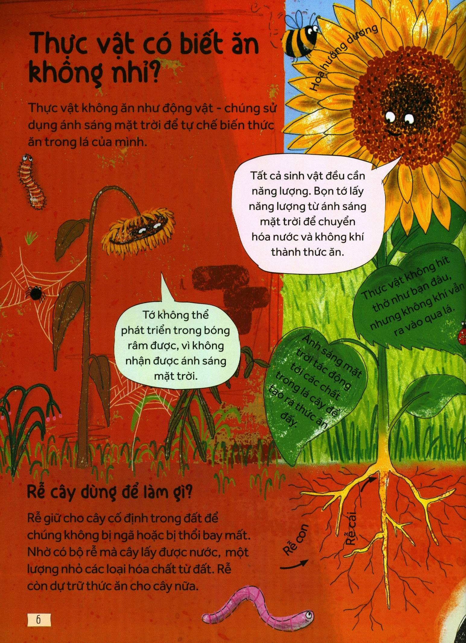 những câu hỏi tò mò & giải đáp thú vị về khoa học