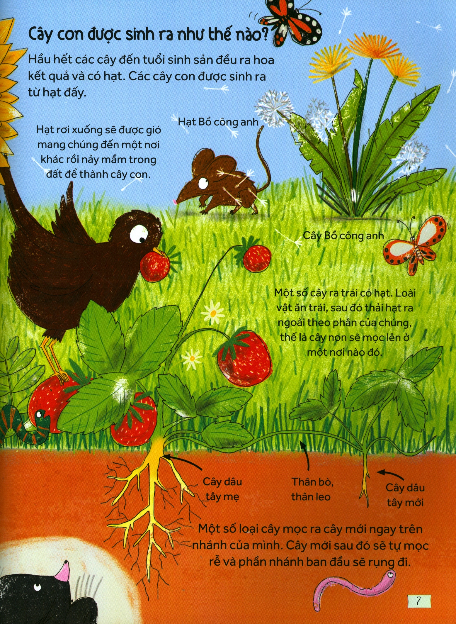 những câu hỏi tò mò & giải đáp thú vị về khoa học