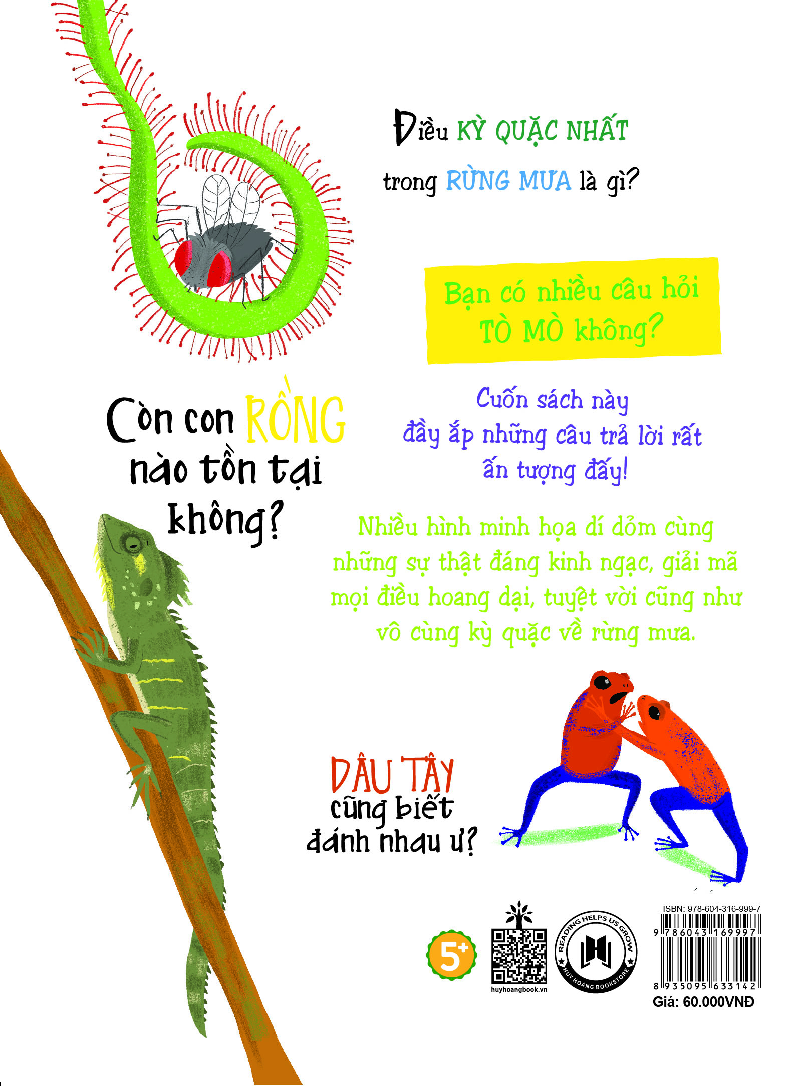 những câu hỏi tò mò và giải đáp thú vị về rừng mưa