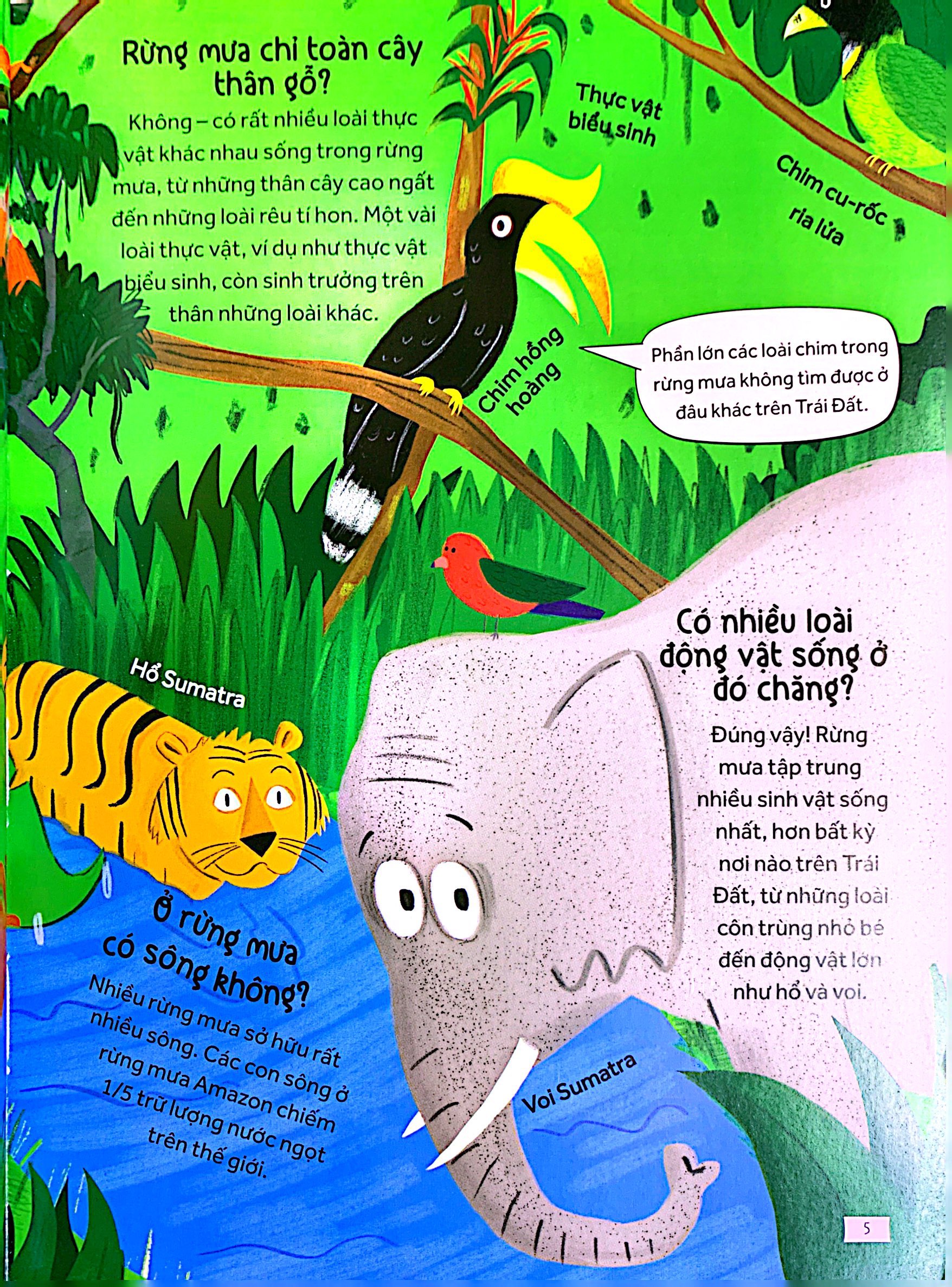 những câu hỏi tò mò và giải đáp thú vị về rừng mưa