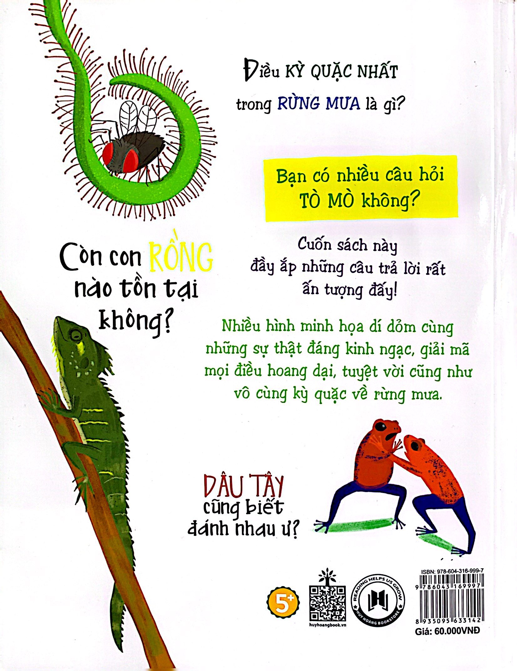 những câu hỏi tò mò và giải đáp thú vị về rừng mưa