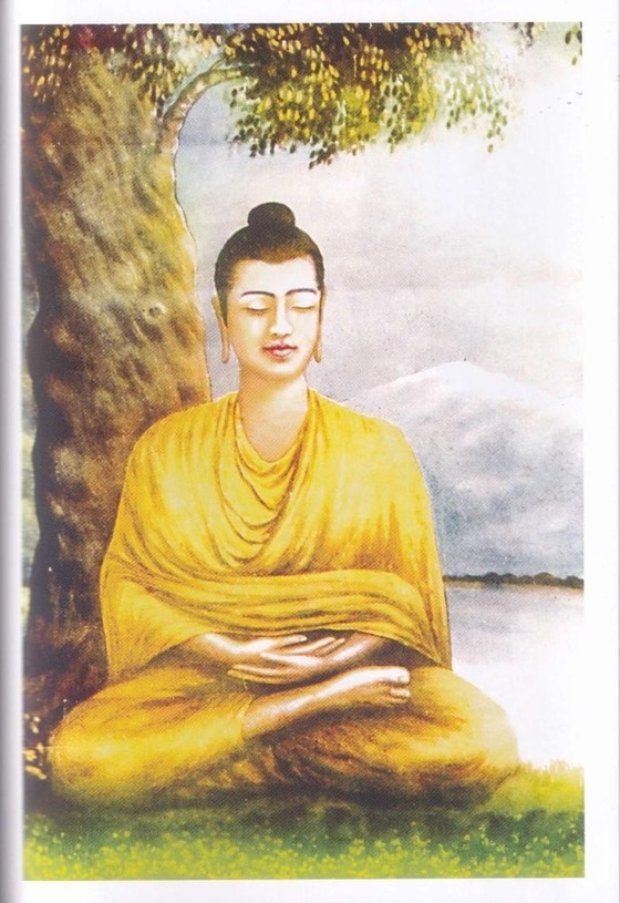 những chặng đường tham học