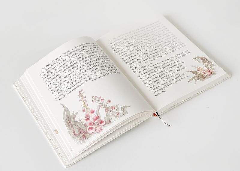 những chuyện kể của thornton burgess - thỏ peter và những câu chuyện về sự tích muôn loài