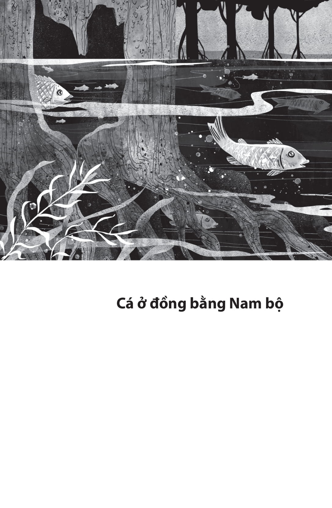 những chuyện lạ về cá (tái bản 2025)