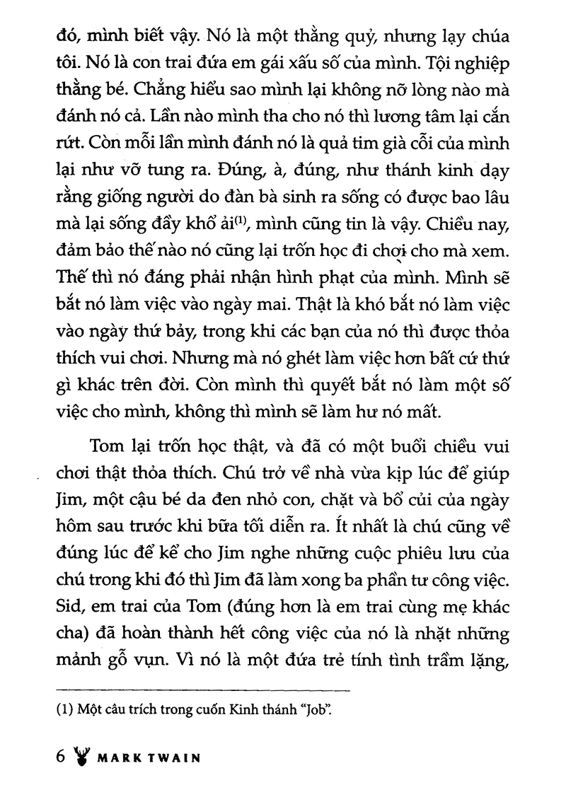 những cuộc phiêu lưu của tom sawyer (tái bản 2023)