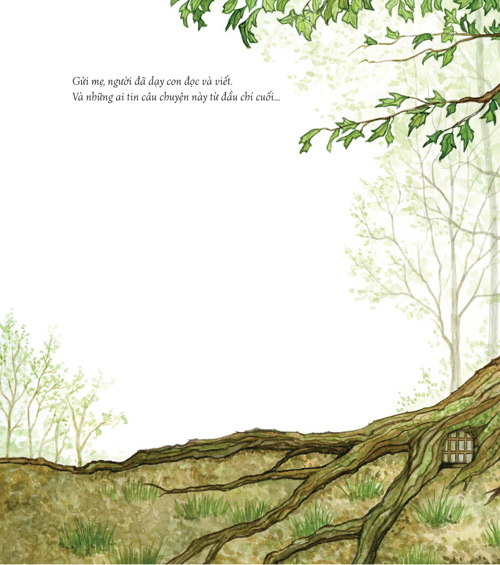 những cuộc phiêu lưu kì thú - đi tìm người khổng lồ