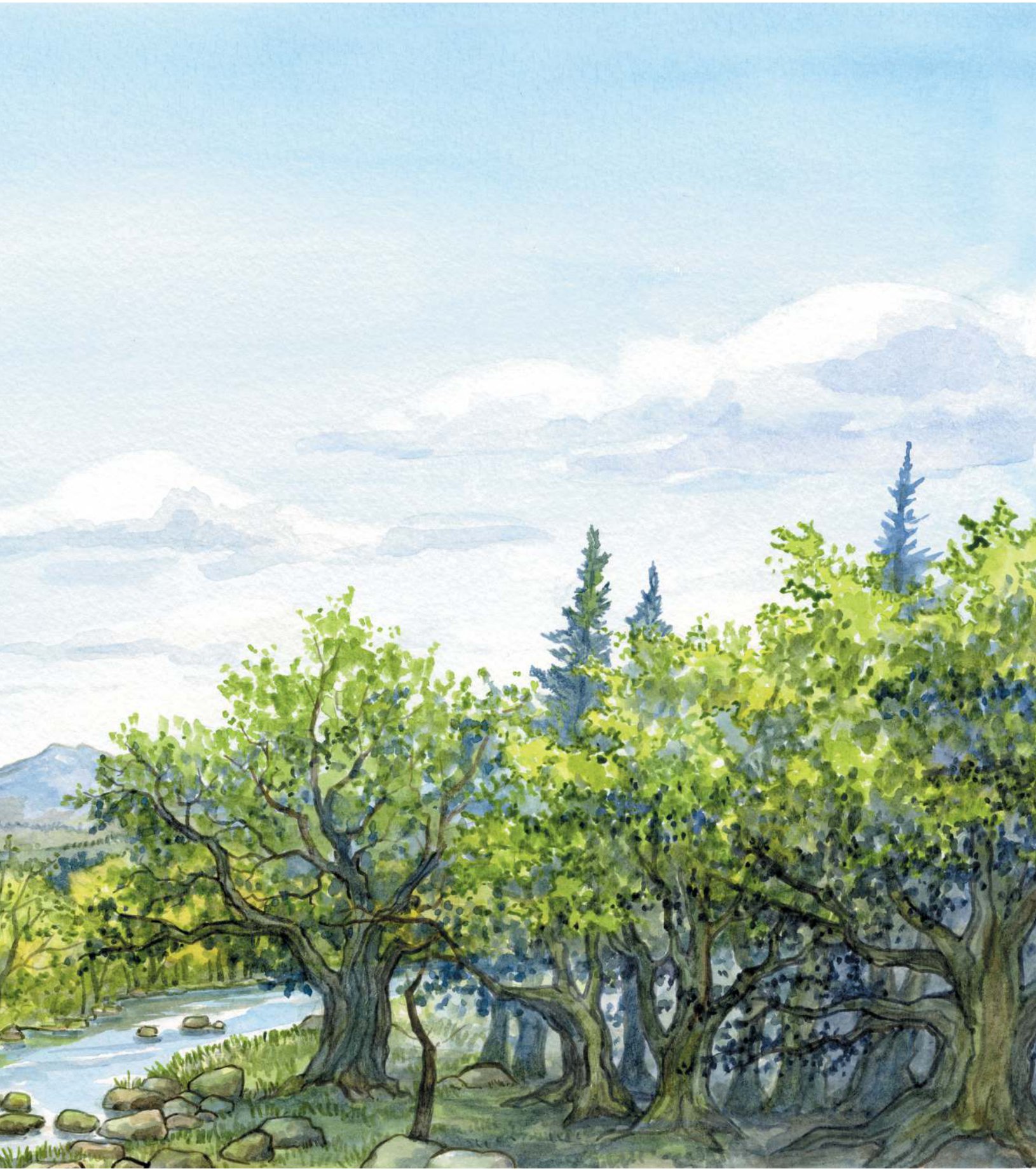 những cuộc phiêu lưu kì thú - tấm bản đồ kho báu