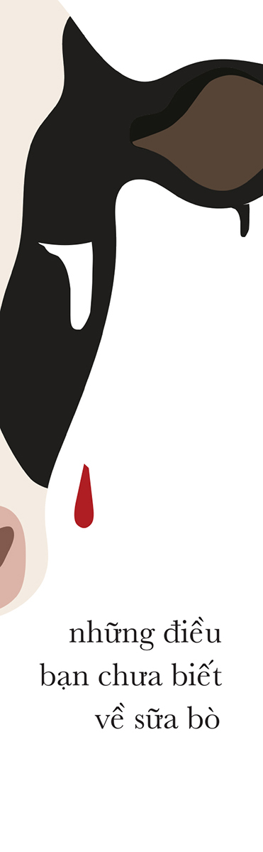những điều bạn chưa biết về sữa bò