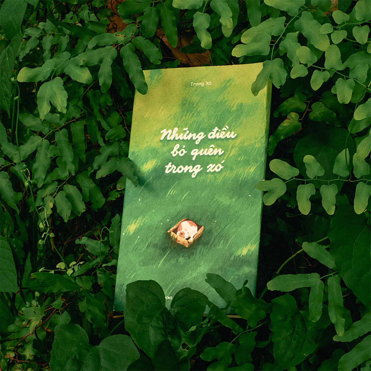 những điều bỏ quên trong xó