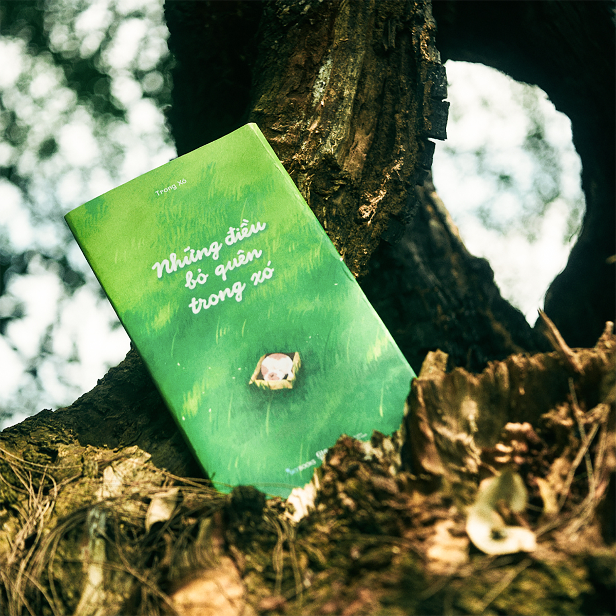 những điều bỏ quên trong xó