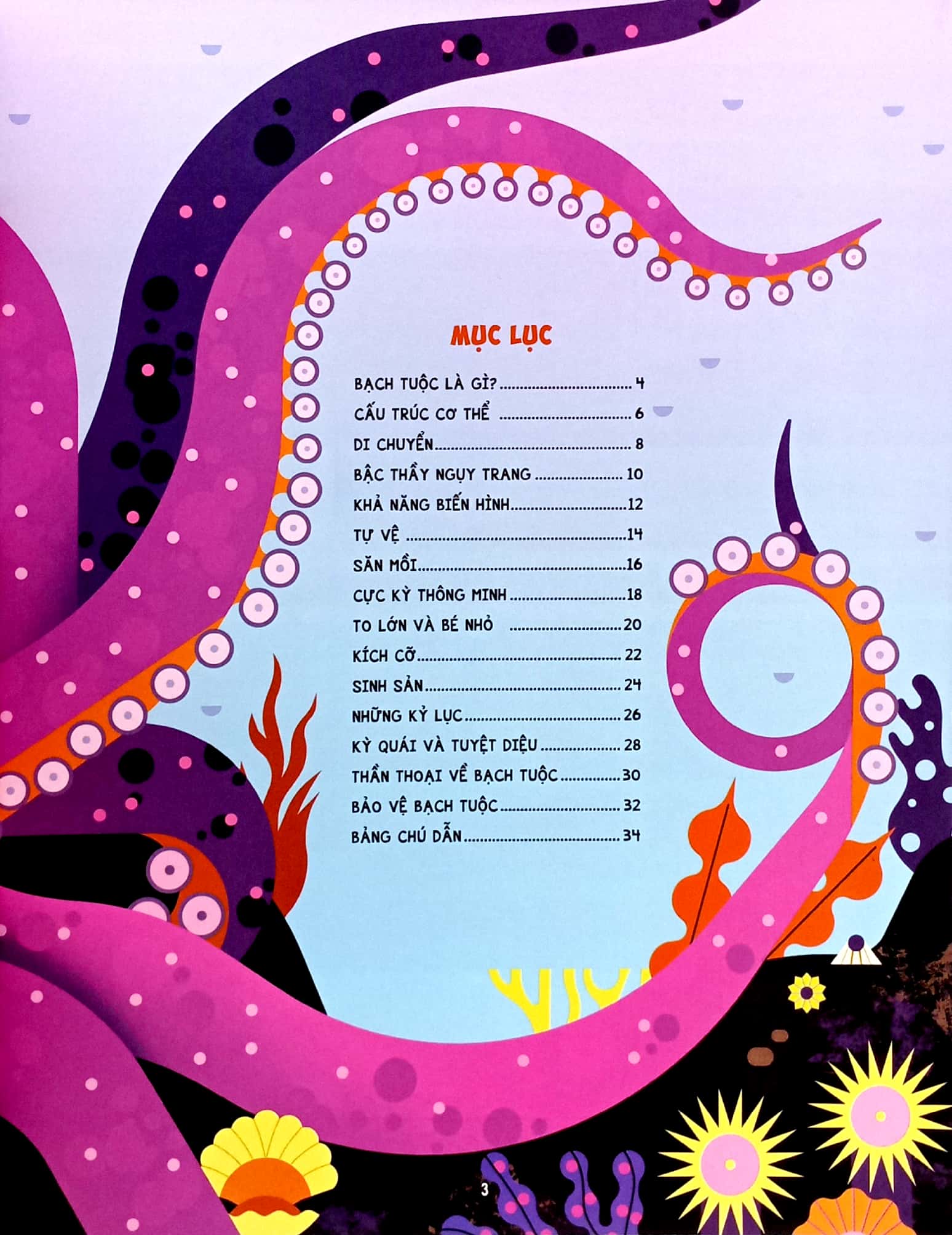 những điều chưa biết về… - bạch tuộc