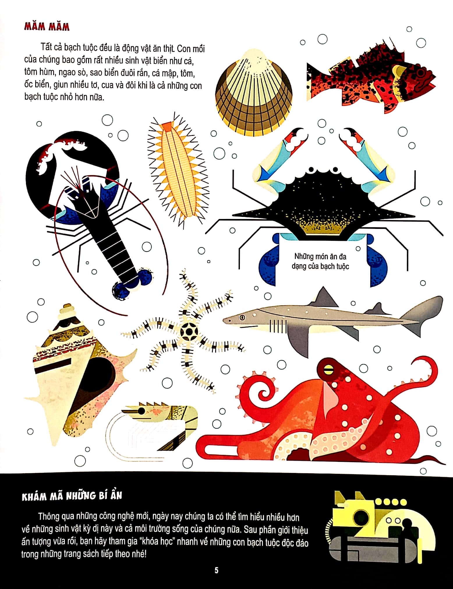 những điều chưa biết về… - bạch tuộc