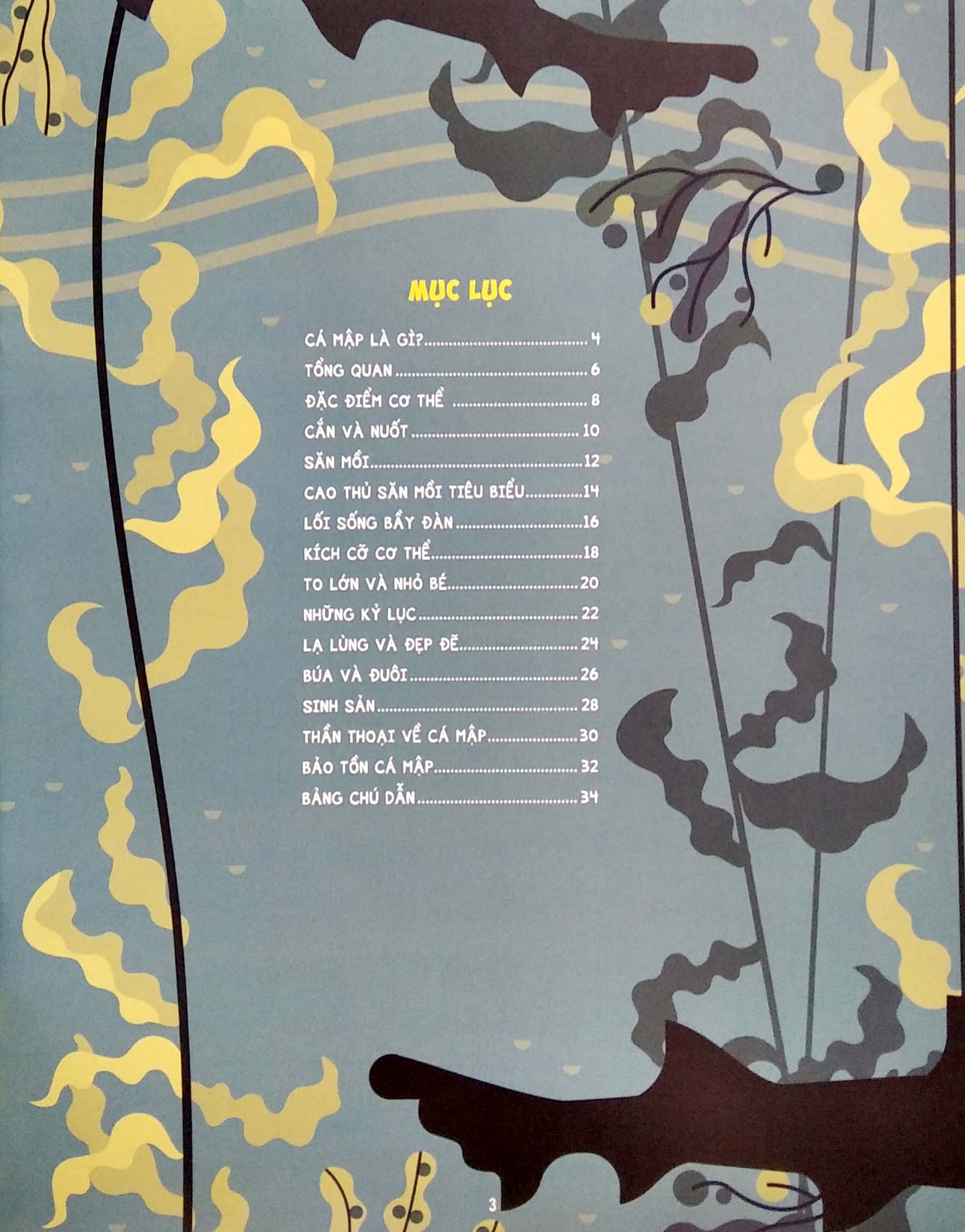 những điều chưa biết về… - cá mập