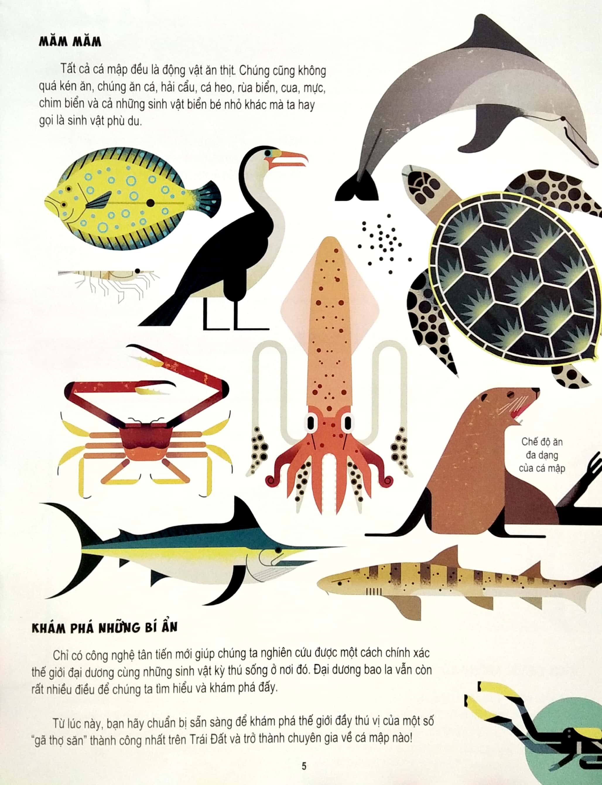 những điều chưa biết về… - cá mập