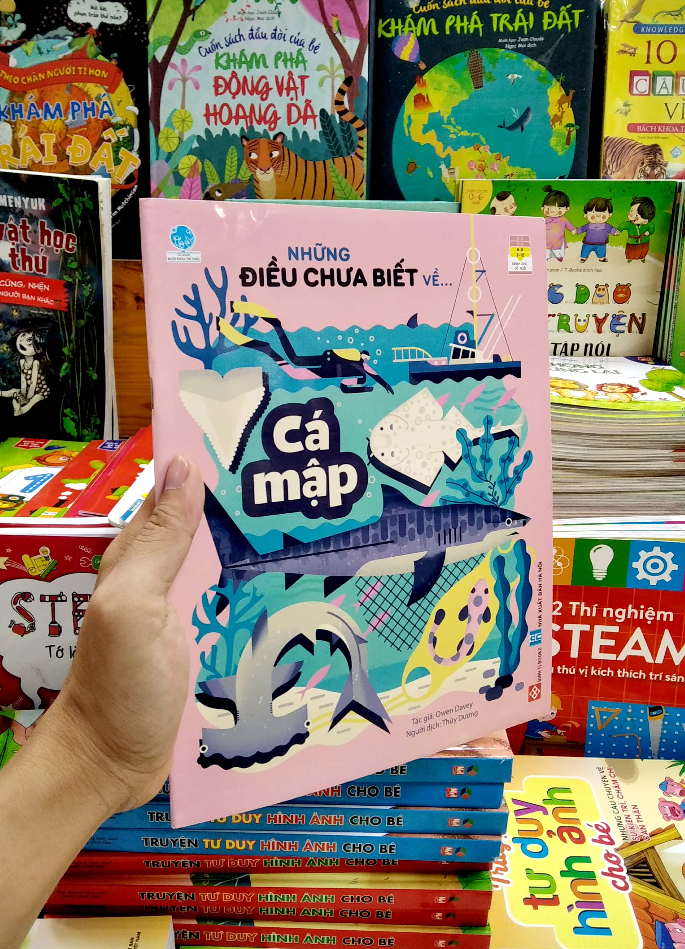 những điều chưa biết về… - cá mập