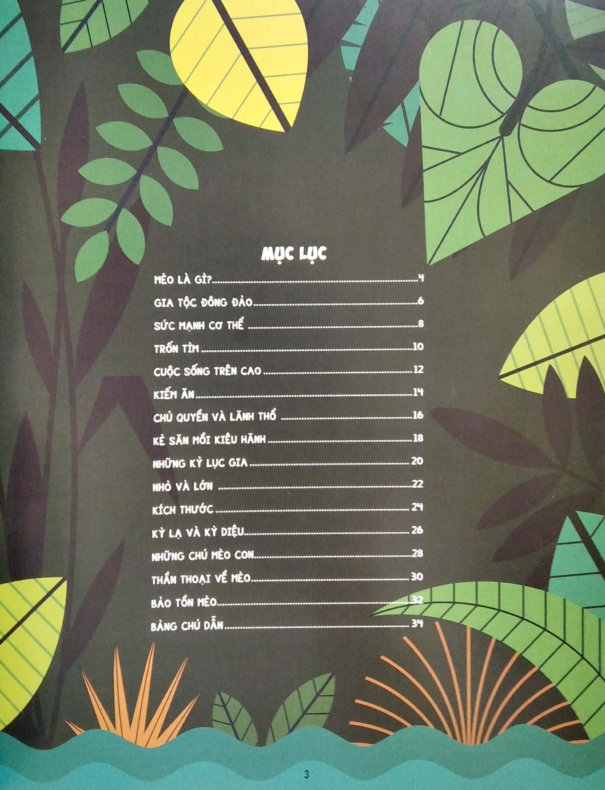 những điều chưa biết về… - mèo